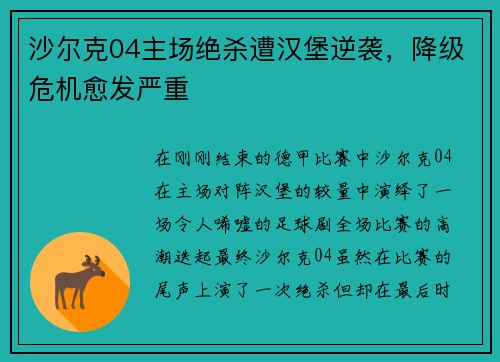 沙尔克04主场绝杀遭汉堡逆袭，降级危机愈发严重