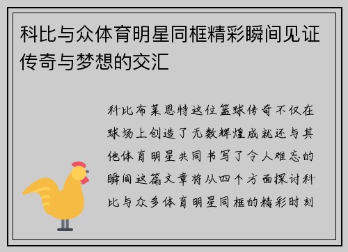 科比与众体育明星同框精彩瞬间见证传奇与梦想的交汇